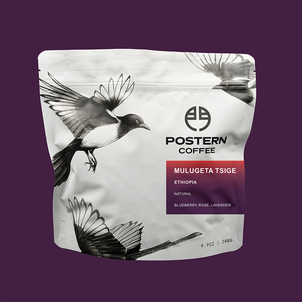 Mulugeta Tsige Ethiopia Natural